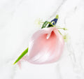 Elegant Green Calla Lily Boutonniere - Customizable Keepsake with Natural Fillers