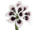 pack of 10-Real touch calla lily Plum Picasso Purple - Angel Isabella