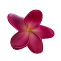 Real touch Plumerias Frangipani flower head -no stem - Angel Isabella