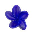 Real touch Plumerias Frangipani flower head -no stem - Angel Isabella
