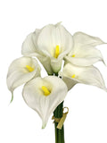 9-stem large Bloom calla lily - Angel Isabella
