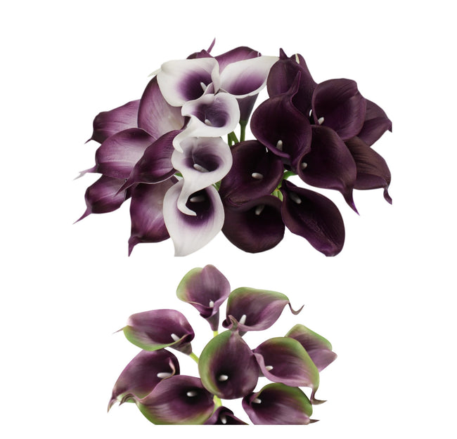 pack of 10-Real touch calla lily Plum Picasso Purple - Angel Isabella