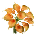 Pack of 10-Real touch Calla lily Green Lime Orange Plum Malibu - Angel Isabella