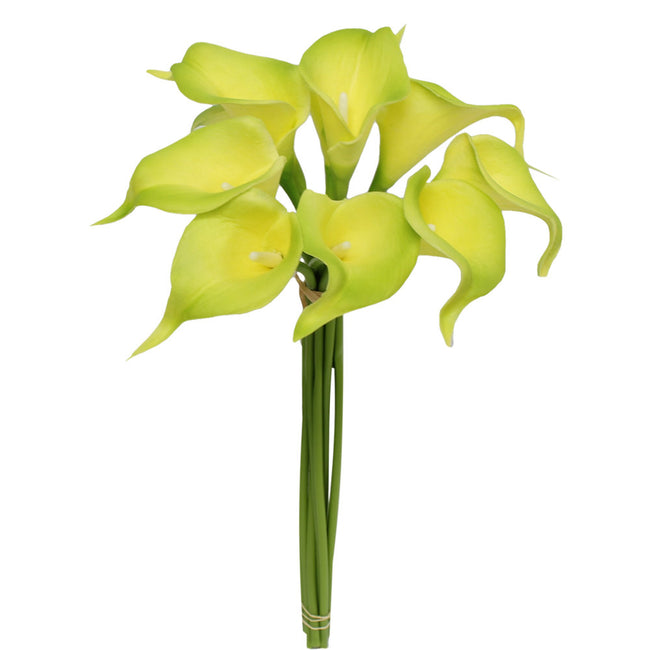 Pack of 10-Real touch Calla lily Green Lime Orange Plum Malibu - Angel Isabella