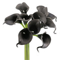 Quality Real Touch calla lily black smokey grey theme