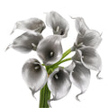 Quality Real Touch calla lily black smokey grey theme