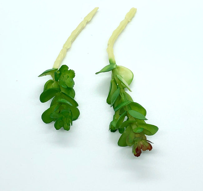 10pc Artificial succulent sedum stems