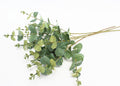 Pack of 10- Artificial Eucalyptus Sprays in frosted Green Grey bouquet filler centerpiece home decor - Angel Isabella
