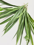 14inch Lifelike Real touch Artificial spider plant in green with buds Succulent arrangement centerpiece faux succulent terrarium - Angel Isabella