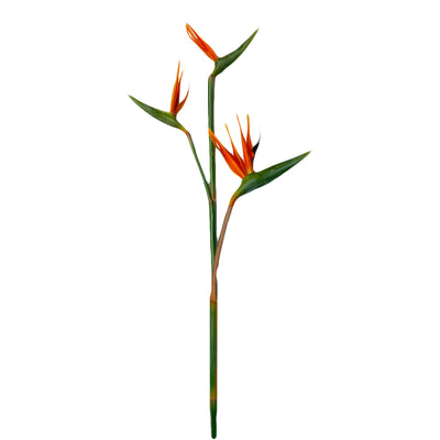 36 Inch Premium Bird of Paradise stem with 3 blooms-home decoration event centerpiece Orange yellow Fuchsia - Angel Isabella