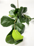 Large 30inch Quality artificial Fiddle Leaf branch with 3 sprays