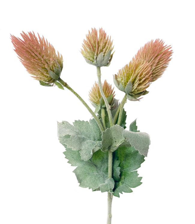 Frosted Thistle stem 5 sprays