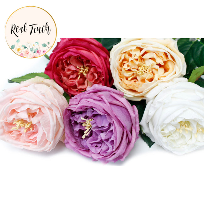 1 Day ship from GA,USA-Premium Austin Cabbage Rose Artificial Real To the touch - Angel Isabella