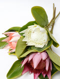 Pack of 2: 21" Artificial Peach King Protea Stem-real touch leaves silk flower Ivory Blush Dusty Pink - Angel Isabella