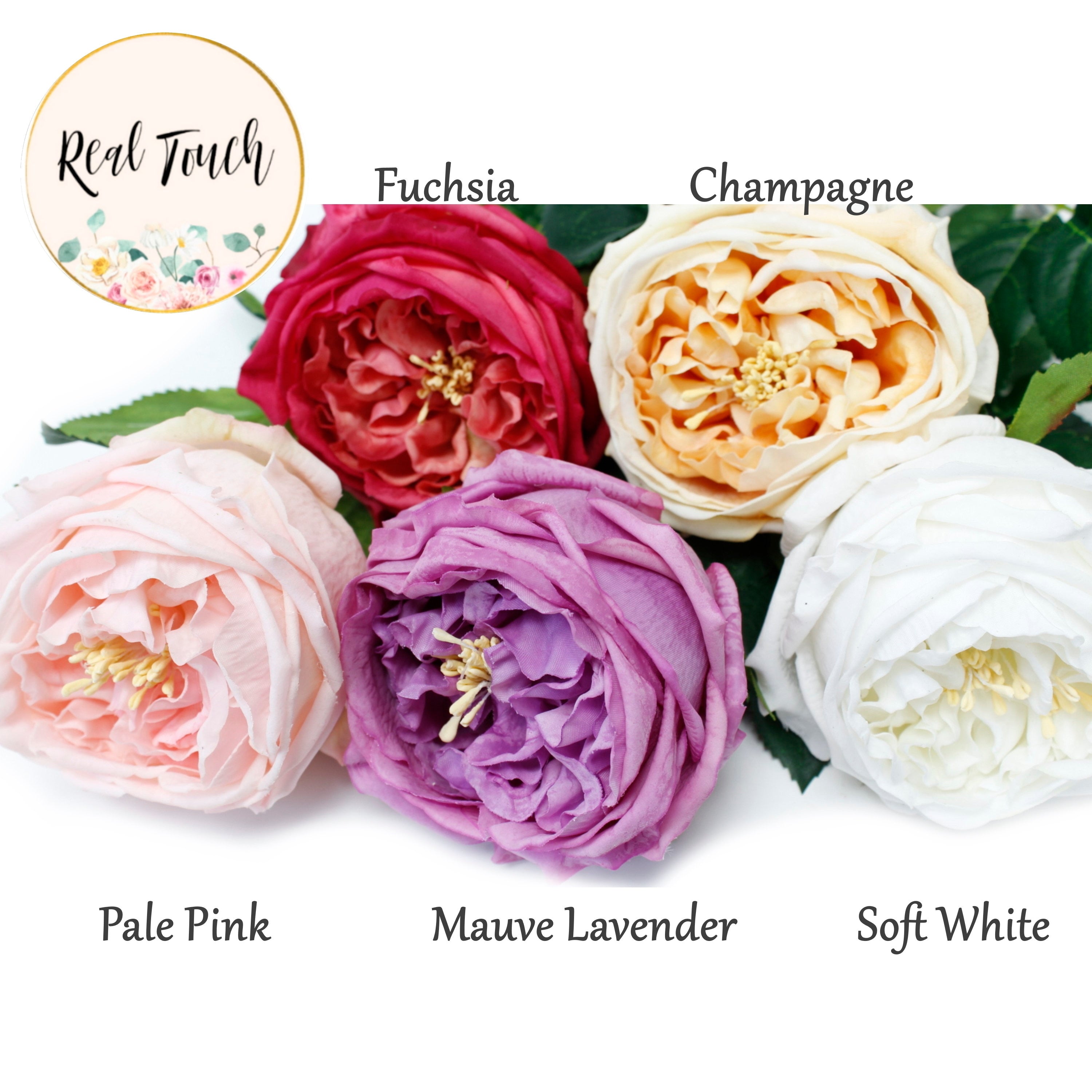 Premium Austin Cabbage Rose Artificial Real Touch – Angel Isabella
