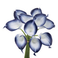 Navy Blue Theme-Soft touch artificial calla lily Midnight navy Picasso trim style - Angel Isabella